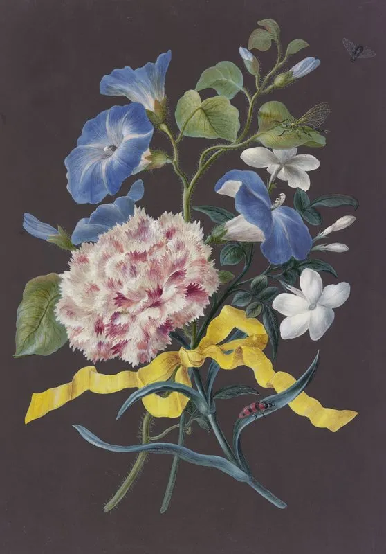 Blumengebinde Mit Rosa Nelke Dianthus Blauer Winde Convolvulus Und Weisem Jasmin Jasminum Mit Rotschwarz Getreiftem Kafer Libelle Und Fliege Wall Art by Barbara Regina Dietzsch - High-Resolution Digital Print