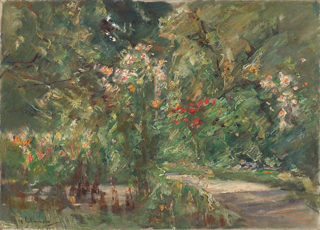 Blumenstauden Im Nutzgarten Nach Nordwesten