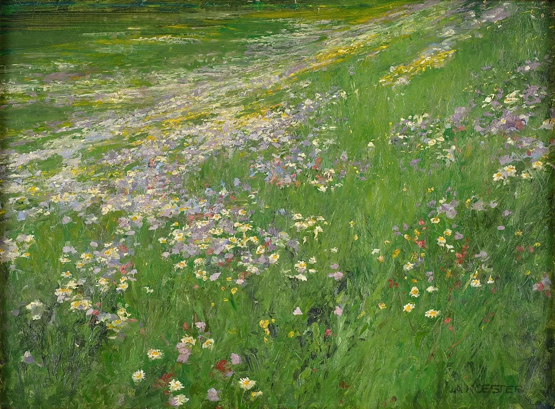 Blumenwiese Bei Wesling
