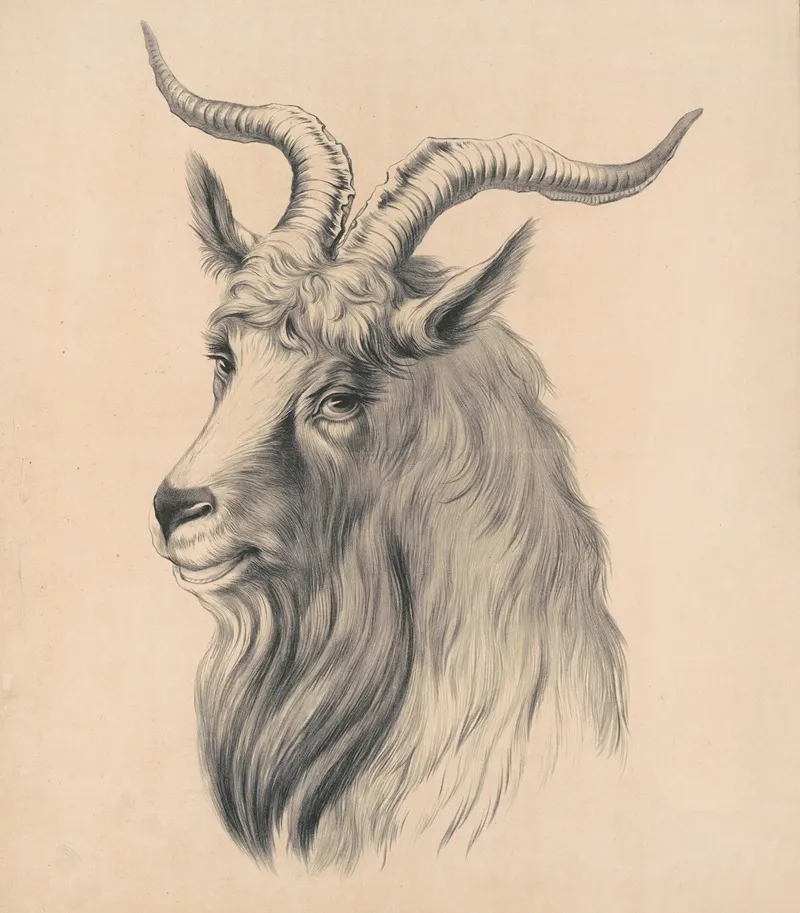 Bock Large Head Wall Art by Henry Jerome Schile - High-Resolution Digital Print