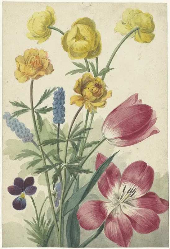 Boeket Van Tulpen Viooltjes Blauwe Druifjes En Dotters