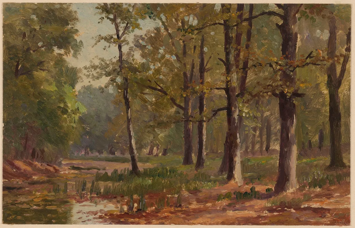 Boggy Forest
