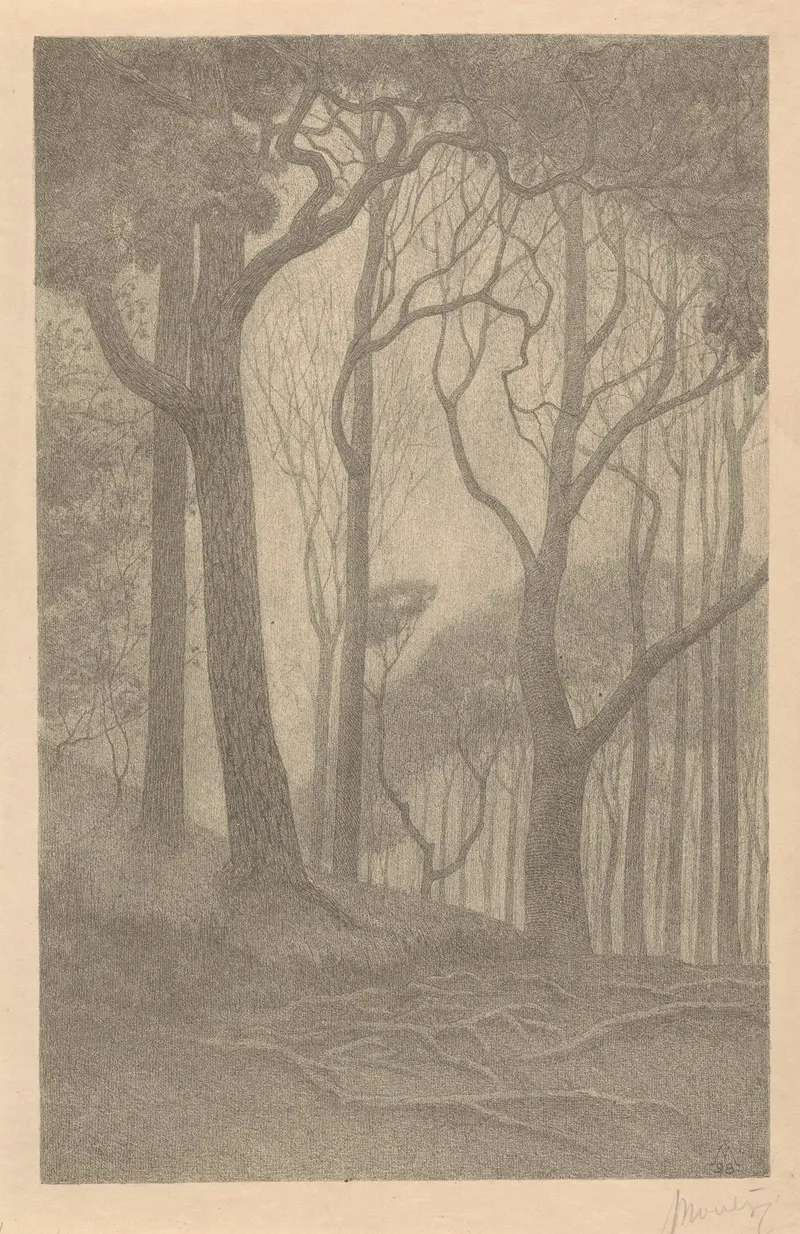 Bomen 4