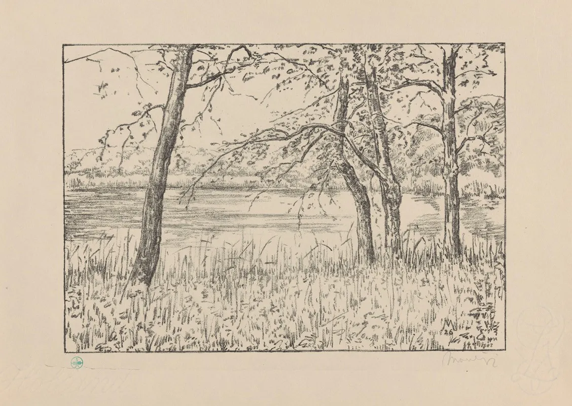 Bomen Aan Een Meer Meer En Bosch