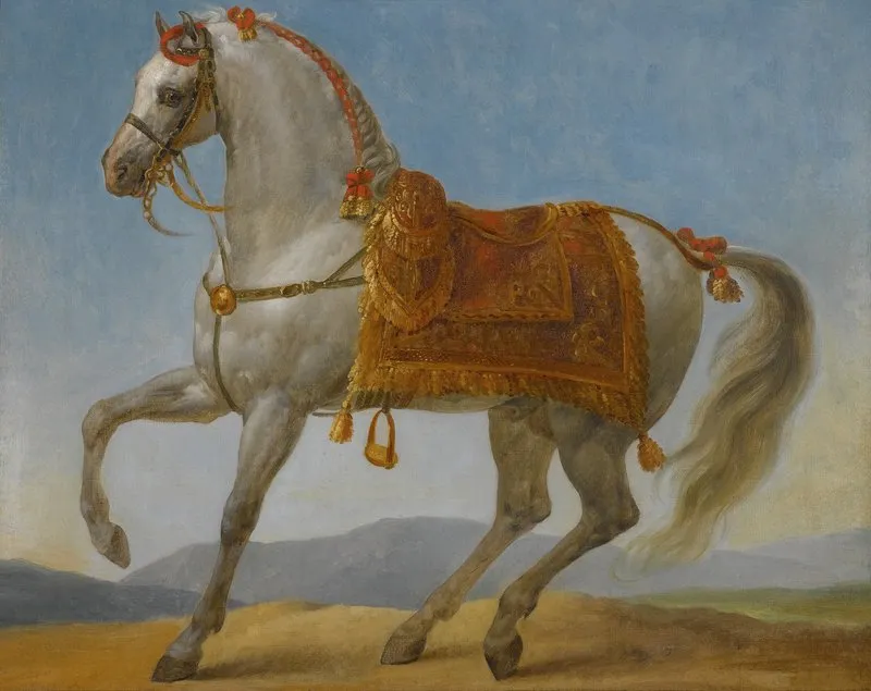 Bonapartes Arab Stallion Marengo