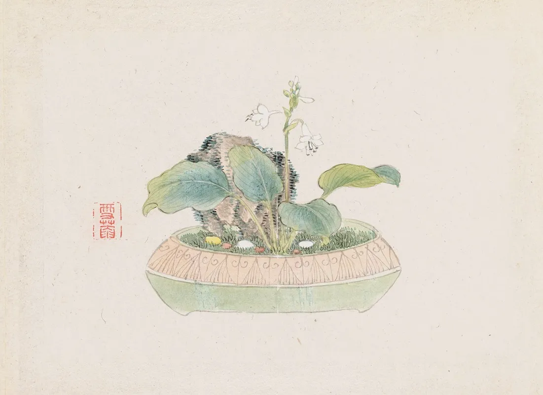 Bonsai Kabenzu Pl 09 Wall Art by Anonymous - High-Resolution Digital Print