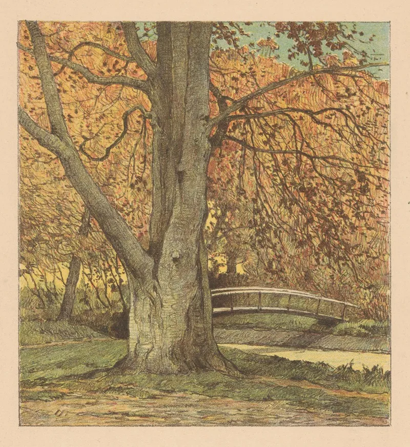 Boom Bij Beek In De Herfst
