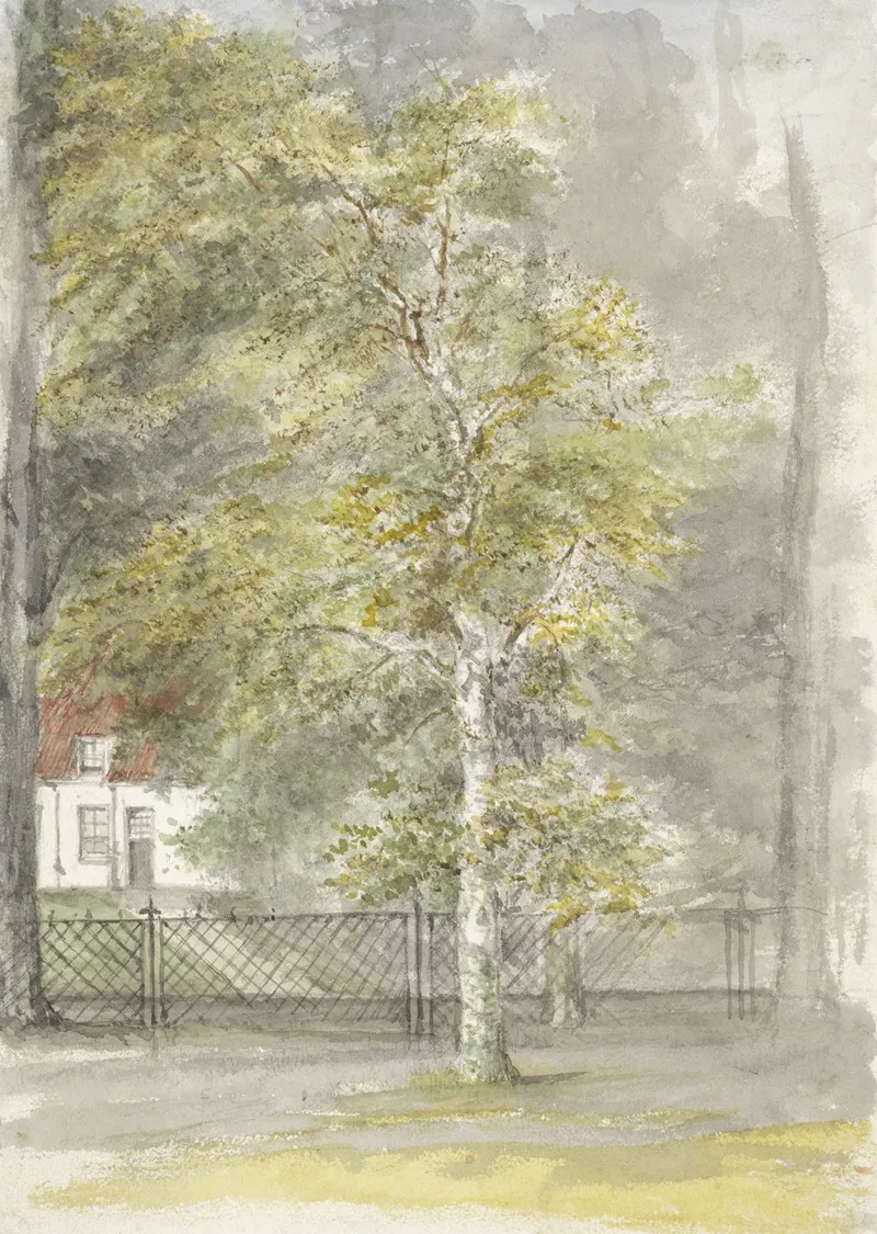 Boom Voor Het Hek Van Een Landhuis