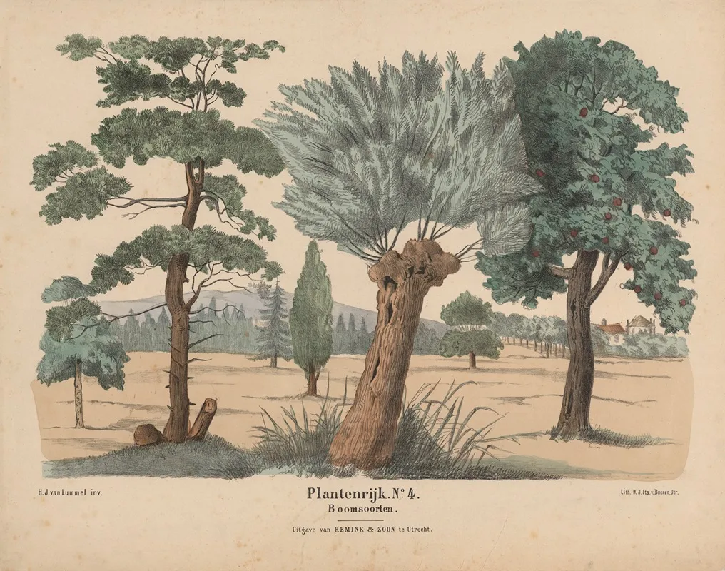 Boomsoorten Wall Art by Hendrik Jan van Lummel - High-Resolution Digital Print