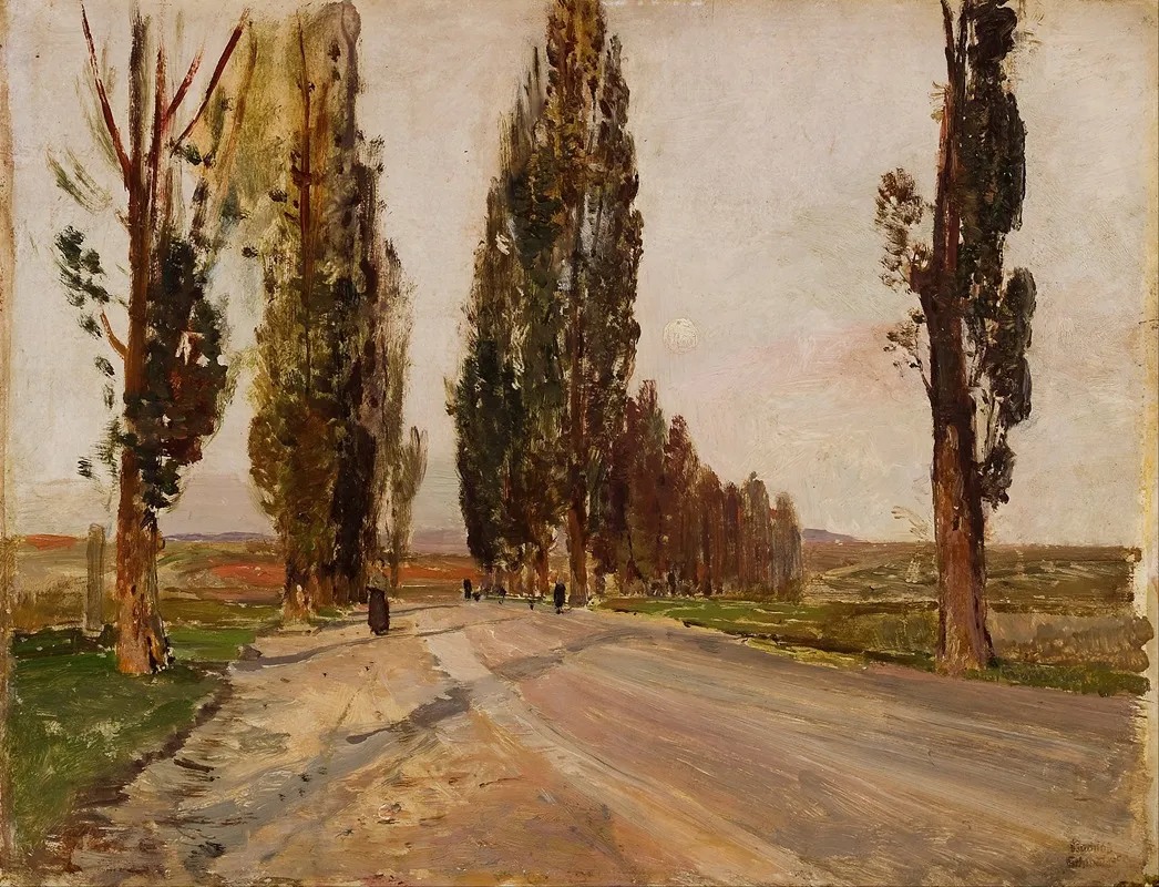 Boulevard Of Poplars Near Plankenberg
