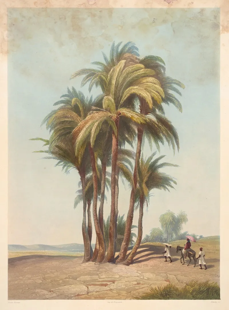 Bouquet De Palmiers Cluster Of Palm Trees