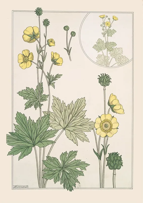 Bouton Dor Wall Art by Maurice Pillard Verneuil - High-Resolution Digital Print