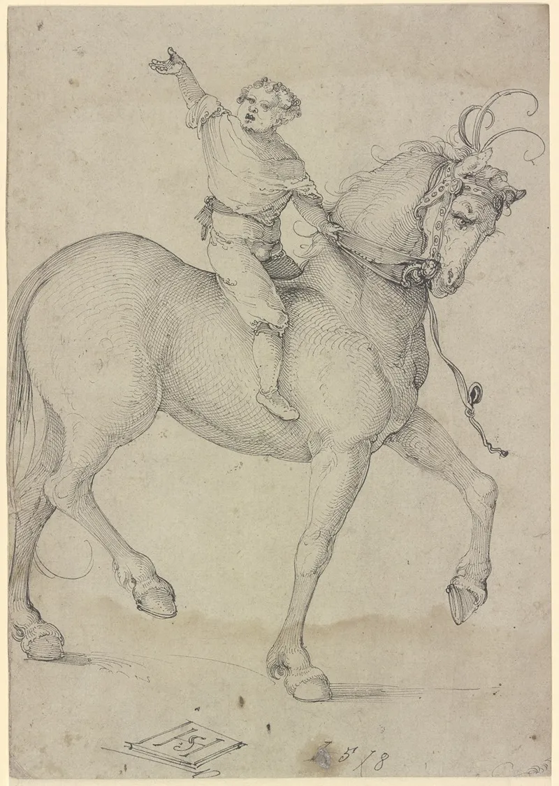 Boy On A High Horse