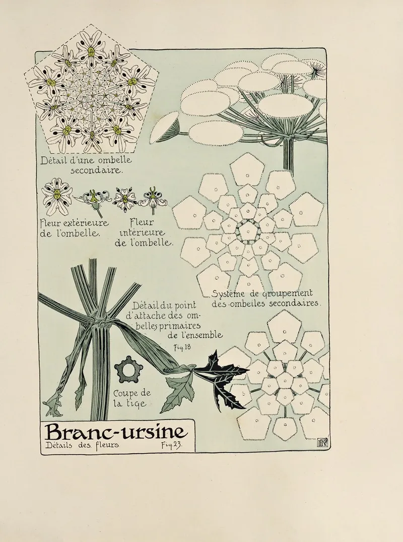 Branc Ursine Wall Art by Maurice Pillard Verneuil - High-Resolution Digital Print