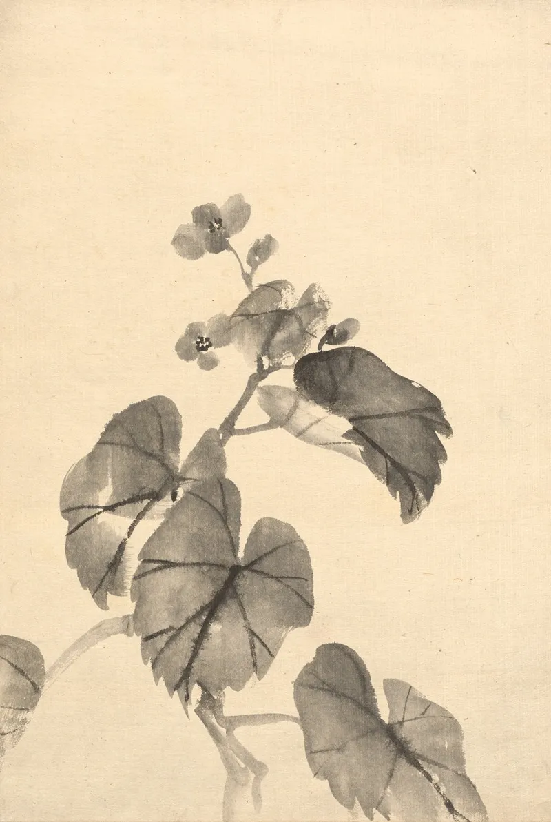 Branch Of Begonia In Bloom Wall Art by Kōno Bairei - High-Resolution Digital Print