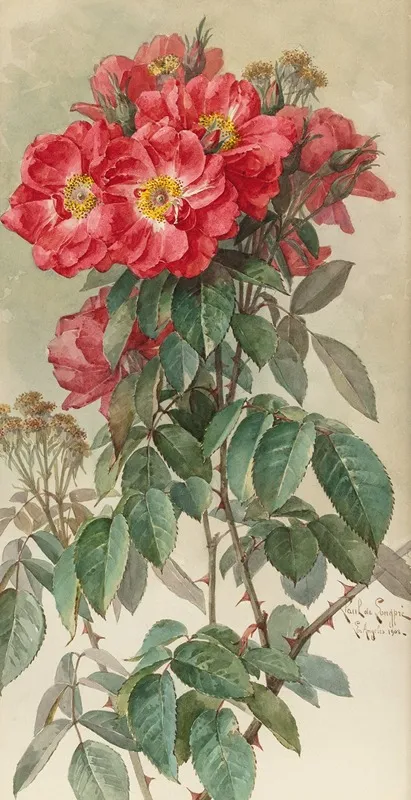 Branches Of Ragged Robin Roses Wall Art by Paul de Longpre - High-Resolution Digital Print