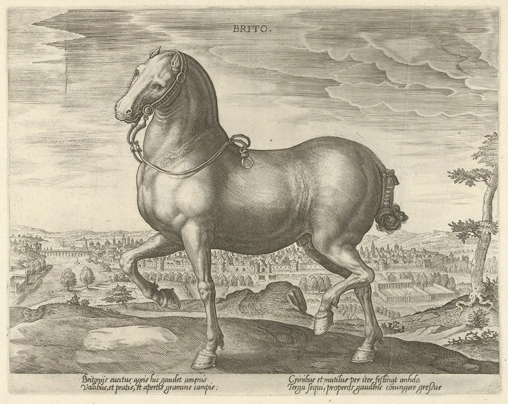 Brito Wall Art by Jan Collaert the Elder - High-Resolution Digital Print