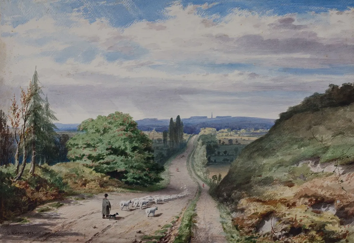 Bromsgrove Lickey From The Birmingham Road