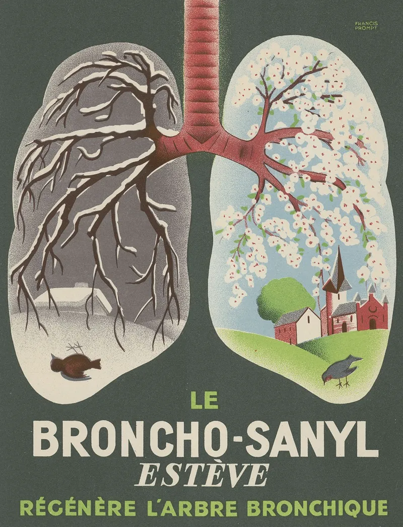 Broncho Sanyl Wall Art by Francis Prompt - High-Resolution Digital Print