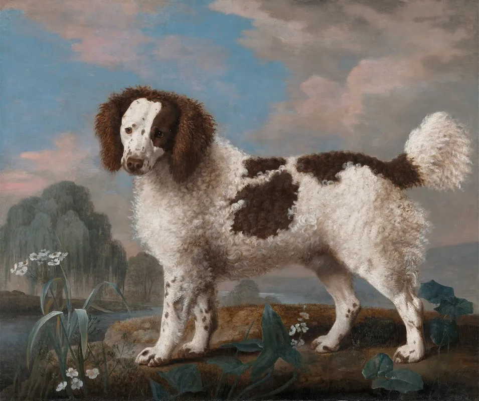 Brown And White Norfolk Or Water Spaniel Wall Art by George Stubbs - High-Resolution Digital Print