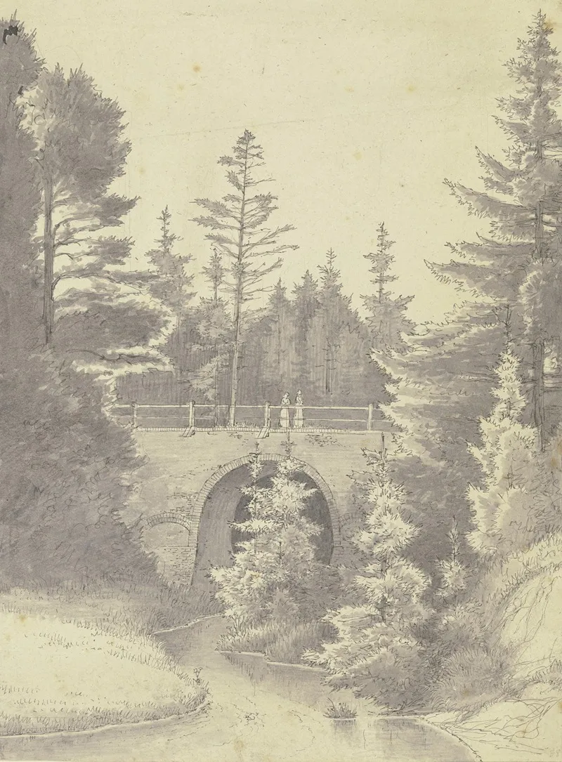 Brucke Uber Einem Bach Im Wald