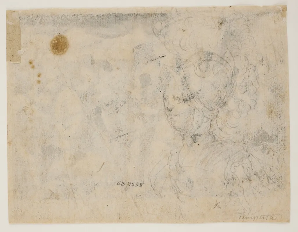 Brystbillede Af Kvindelig Kriger Med Fjerprydet Hjelm Wall Art by Giovanni Battista Fontana - High-Resolution Digital Print