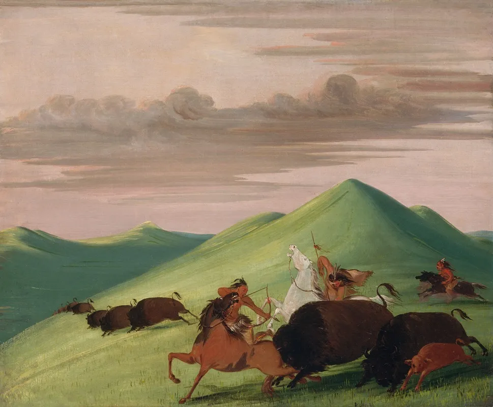 Buffalo Chase Bull Protecting A Cow And Calf