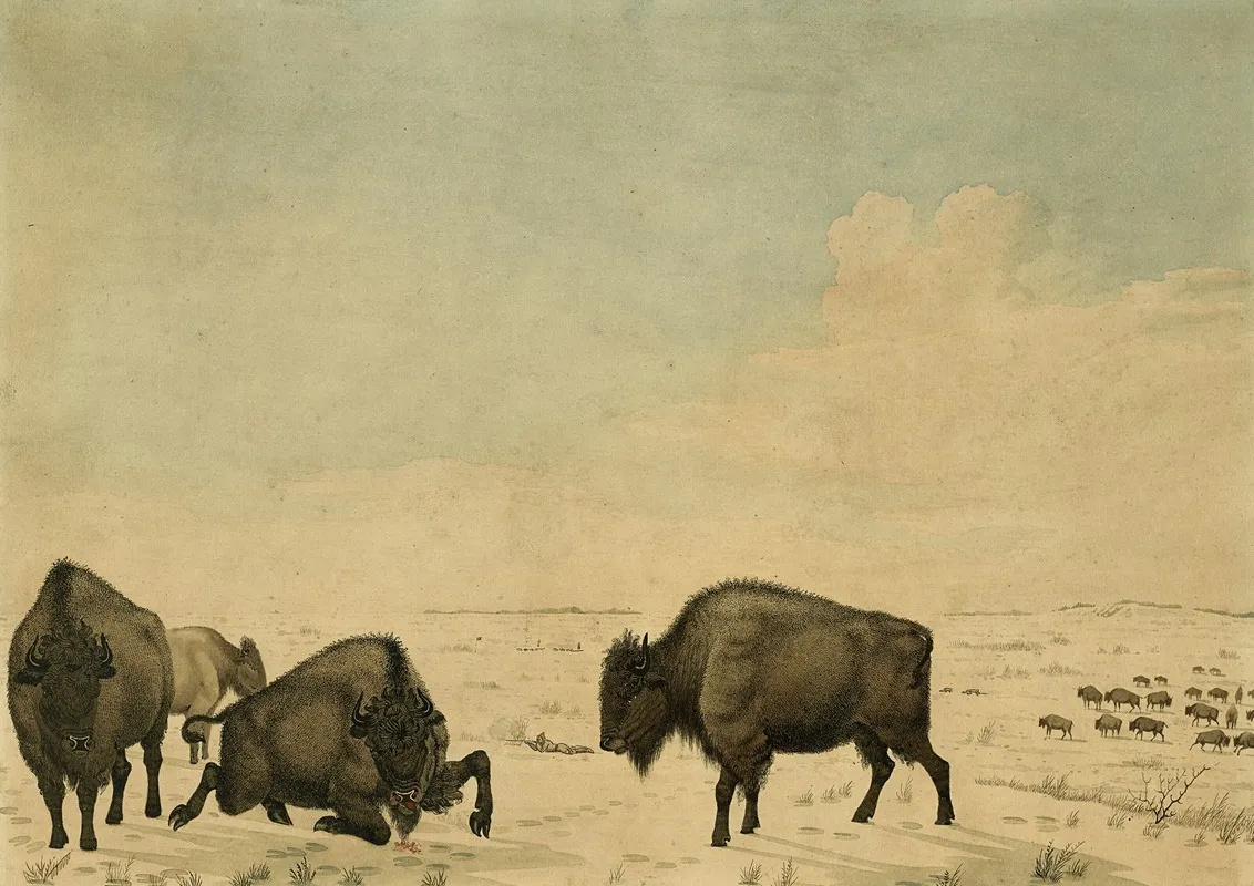 Buffalo Hunt 4 Wall Art by Peter Rindisbacher - High-Resolution Digital Print
