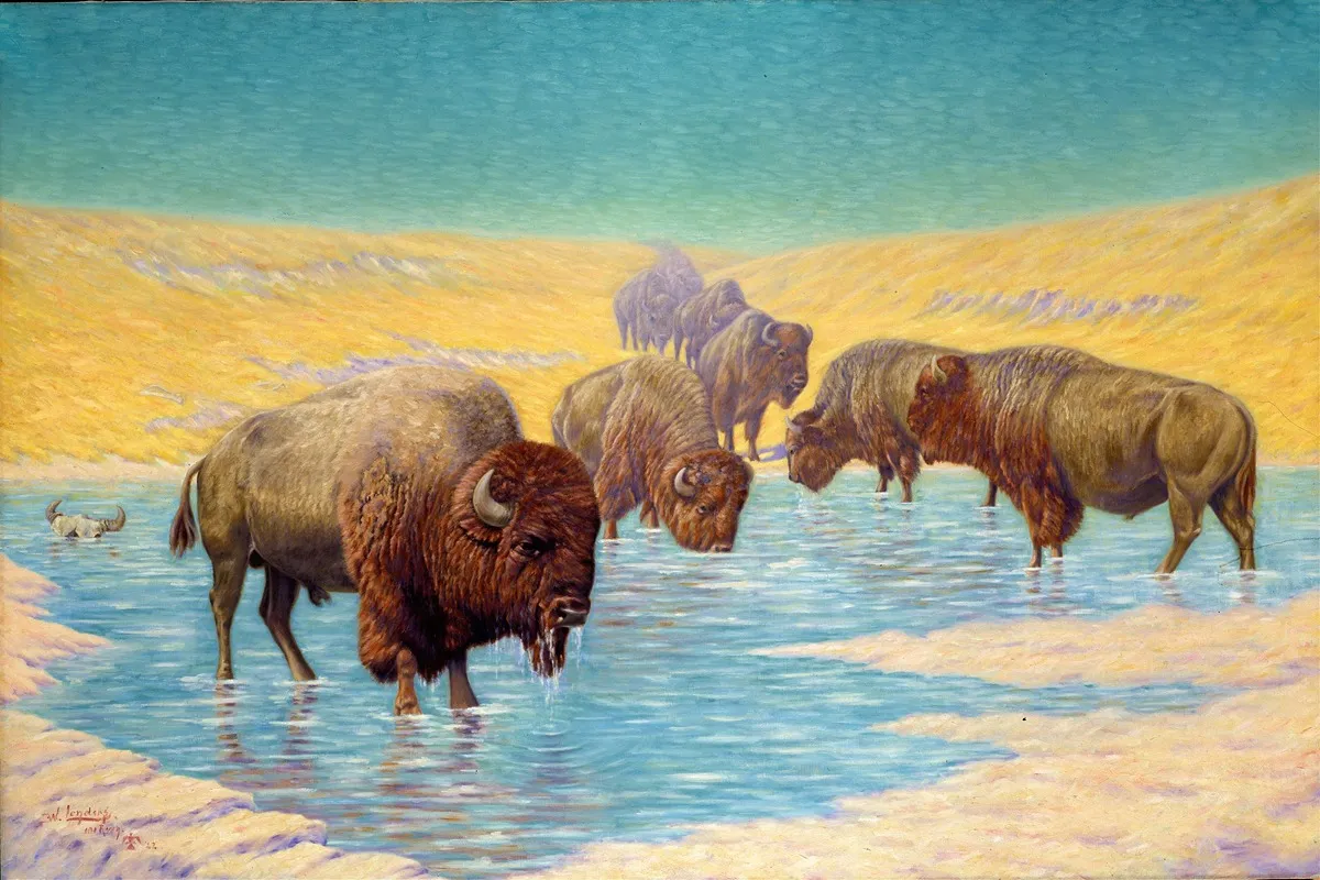 Buffalo Scene Wall Art by Emil W. Lenders - High-Resolution Digital Print