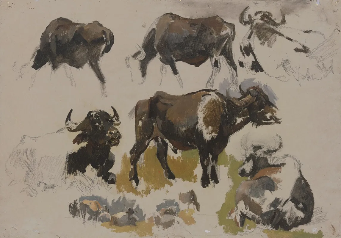 Buffalos And Cattle