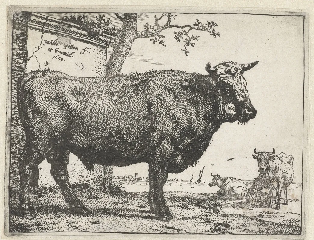 Bull 9