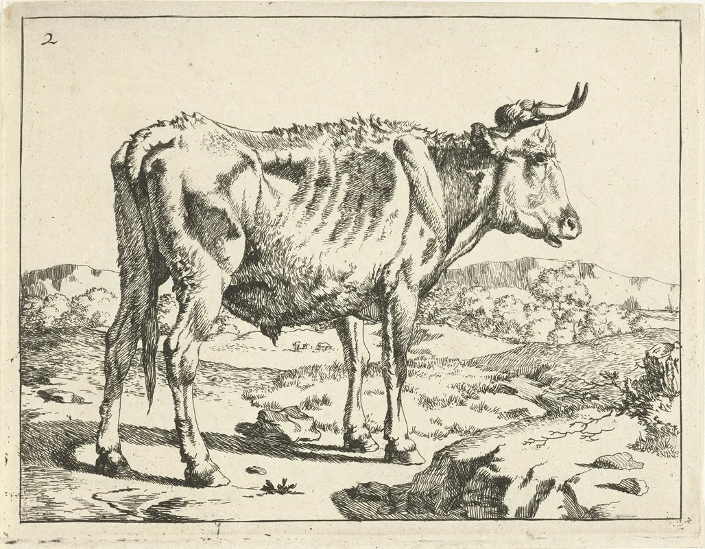 Bull Standing By Rock Wall Art by Marcus de Bye - High-Resolution Digital Print