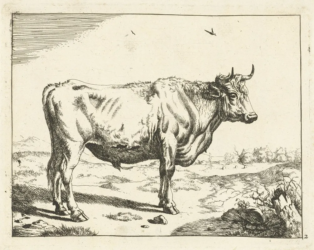 Bull Standing To The Right With Birds Wall Art by Marcus de Bye - High-Resolution Digital Print