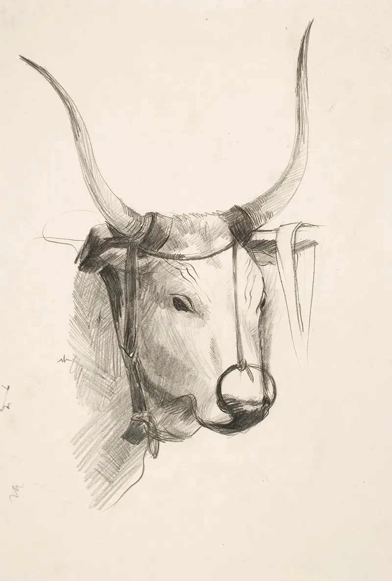 Bulls Head 2