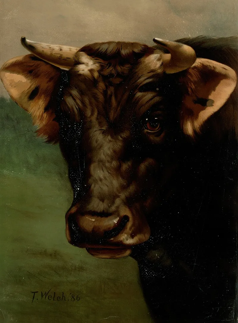 Bulls Head Wall Art by Thaddeus Welch - High-Resolution Digital Print