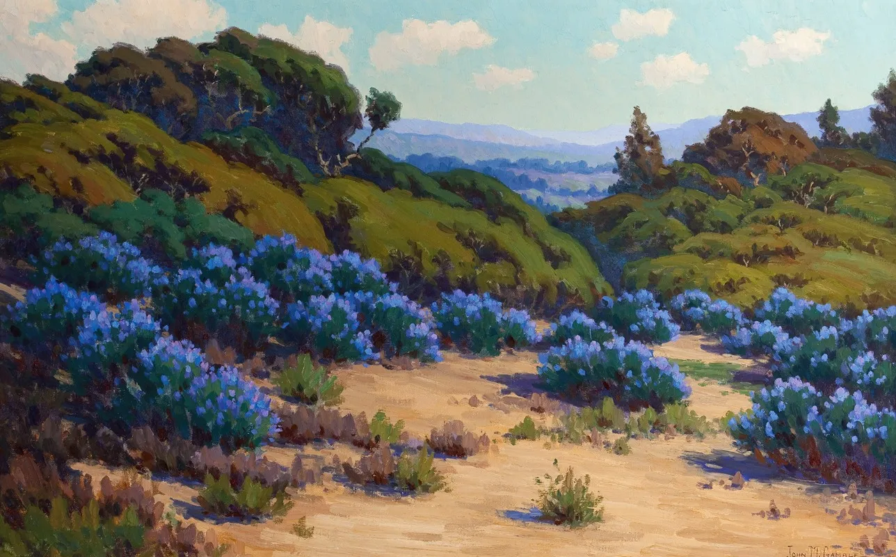 Bush Lupine Near Del Monte Wall Art by John M. Gamble - High-Resolution Digital Print
