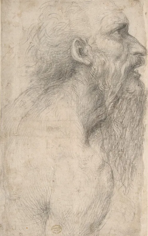 Bust Of A Man With Long Beard Wall Art by Sodoma - High-Resolution Digital Print