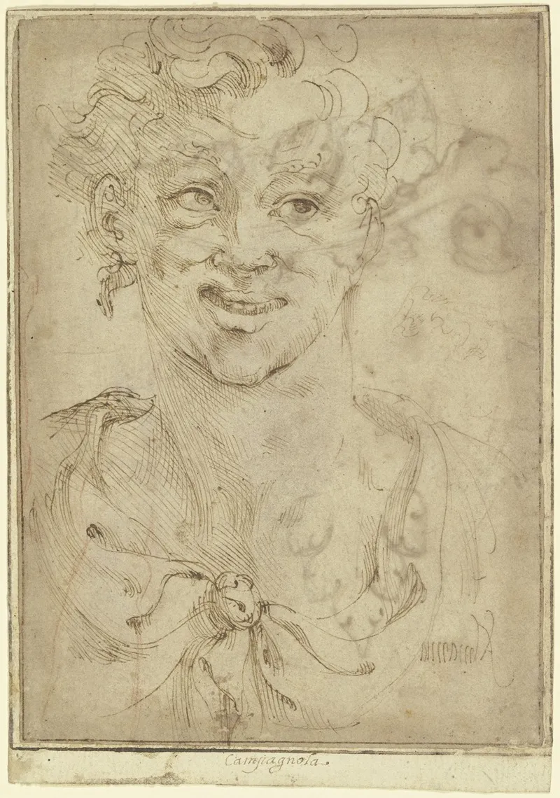 Bust Of A Satyr