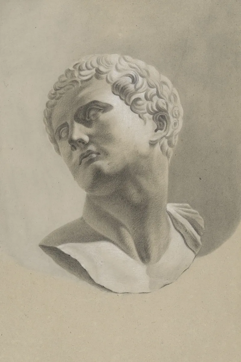 Bust Of A Young Man 4