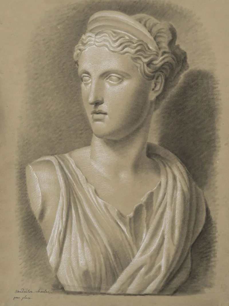 Bust Of Diana 3 Wall Art by Charles van Deventer  - High-Resolution Digital Print