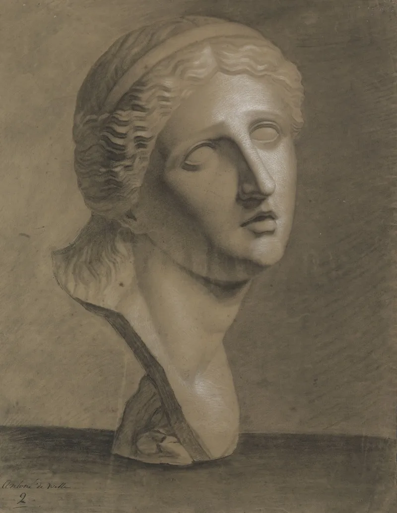 Bust Of Niobe Wall Art by Antonius De Witte  - High-Resolution Digital Print
