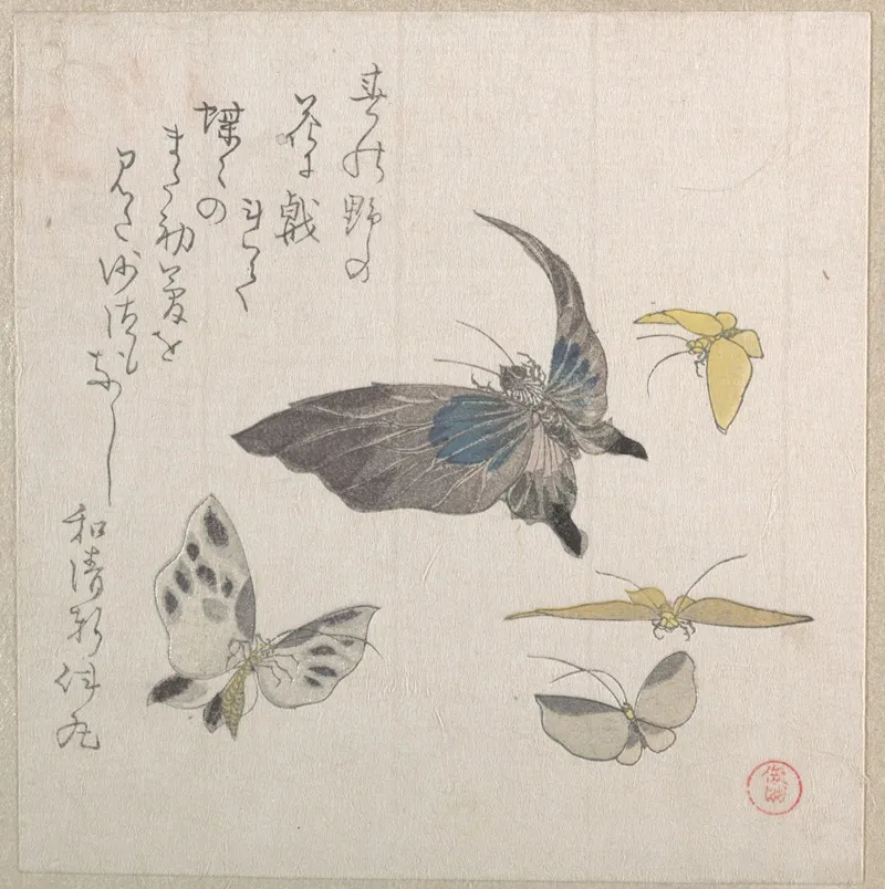 Butterflies 3