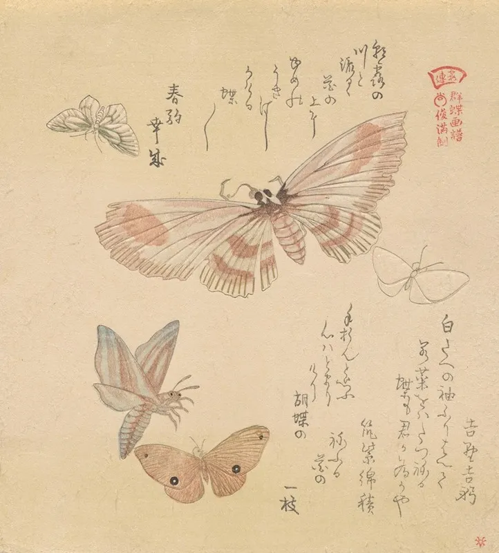 Butterflies And Moths From The Series A Flock Of Butterflies Guncho Gafu