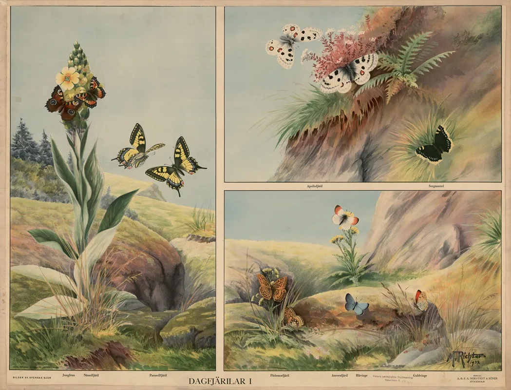Butterflies I Wall Art by Max Richter - High-Resolution Digital Print