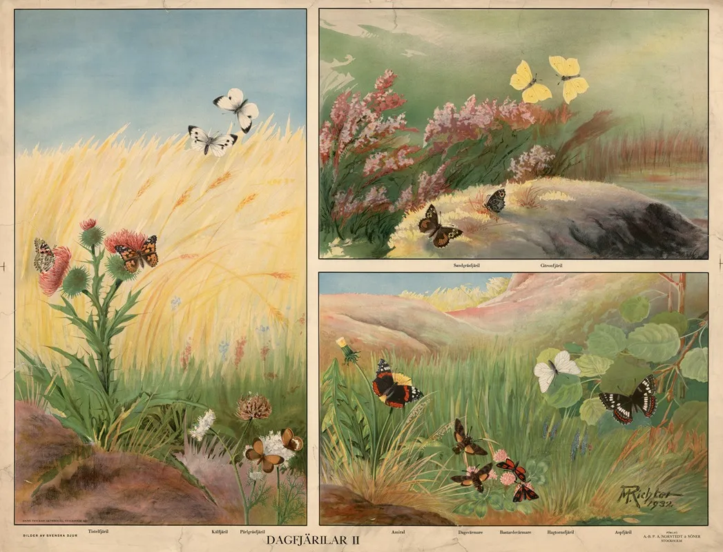 Butterflies Ii Wall Art by Max Richter - High-Resolution Digital Print