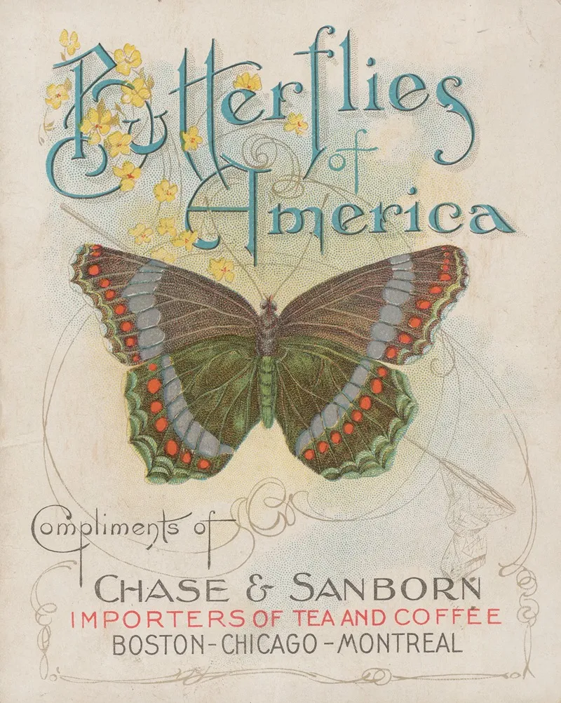 Butterflies Of America Pl 1 Wall Art by Chase & Sanborn - High-Resolution Digital Print