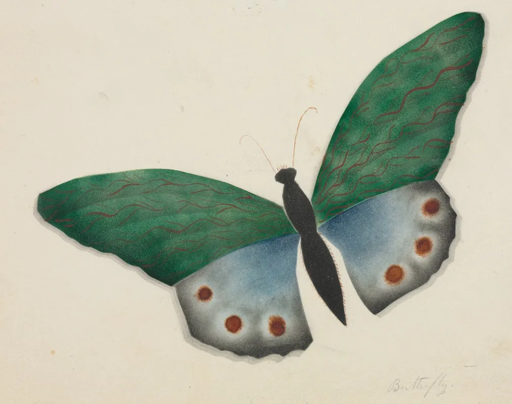 Butterfly 5 Wall Art by Mary Altha Nims - High-Resolution Digital Print