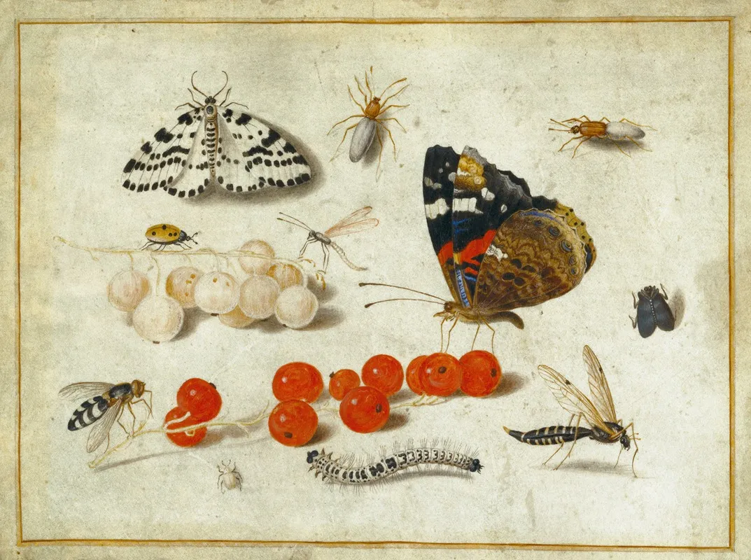 Butterfly Caterpillar Moth Insects And Currants Wall Art by Jan van Kessel the Younger - High-Resolution Digital Print
