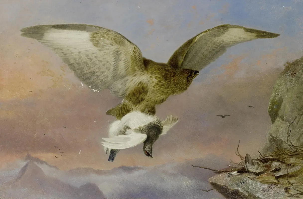 Buzzard With Ptarmigan