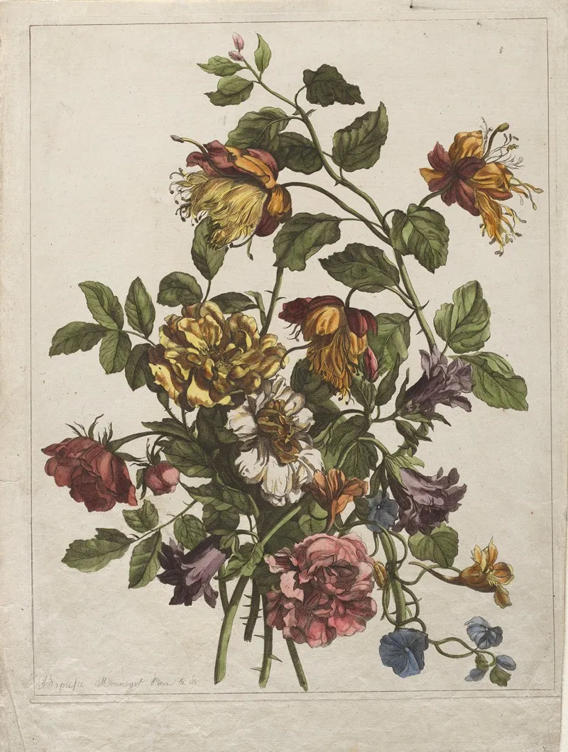 C 1680 95